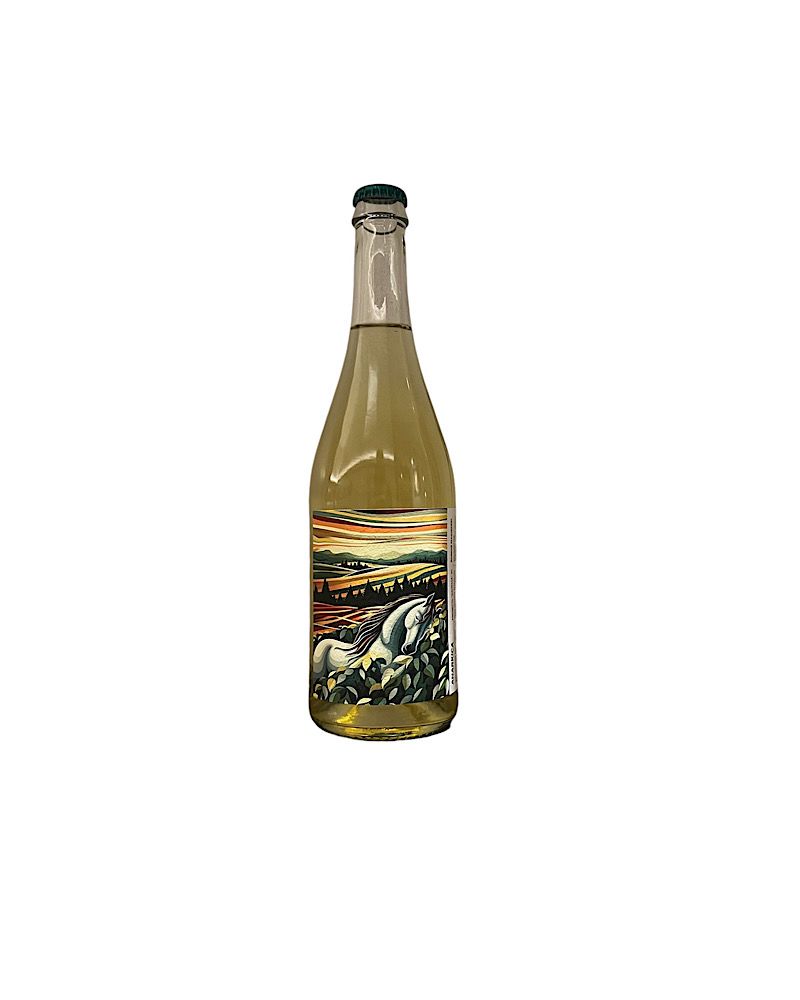 Anarkica Vino Bianco Frizzante Simone Manicardi